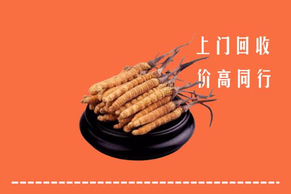 高价求购：汝南县回收散虫草